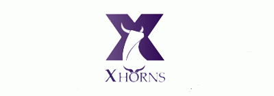 XHorns_mt4下载